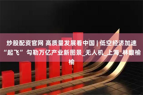 炒股配资官网 高质量发展看中国 | 低空经济加速“起飞” 勾勒万亿产业新图景_无人机_上海_林馥榆
